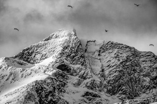 Suzanne Guégan - Envol glacial